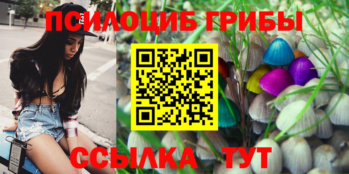 Галлюциногенные грибы прущие грибы Нижнеудинск